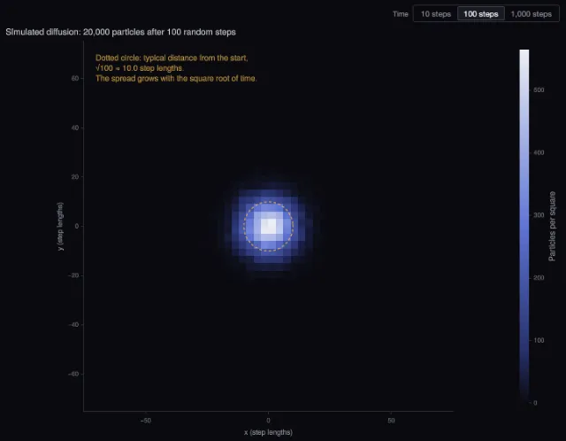 Diffusion: a random walk spreads out