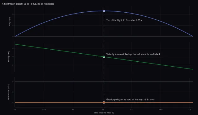Motion: height, velocity and acceleration of a thrown ball